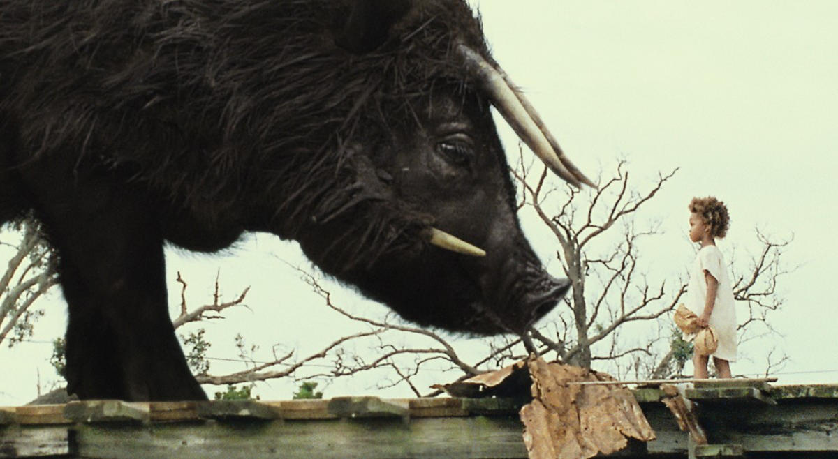 Beasts_of_the_Southern_Wild Feminists Insha’allah - La Révolution des Femmes | Feriel Ben Mahmoud | 2015